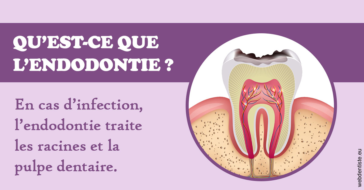 https://www.docteurs-el-khoury-hanna.fr/2024 T1 - Endodontie 02
