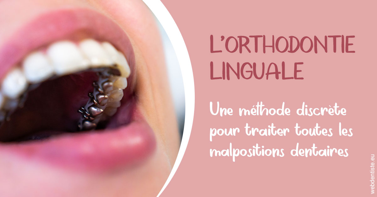 https://www.docteurs-el-khoury-hanna.fr/L'orthodontie linguale 2