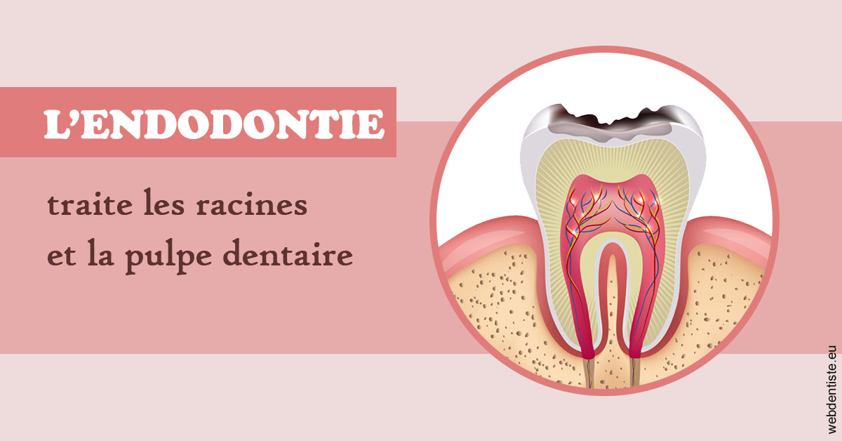 https://www.docteurs-el-khoury-hanna.fr/L'endodontie 2