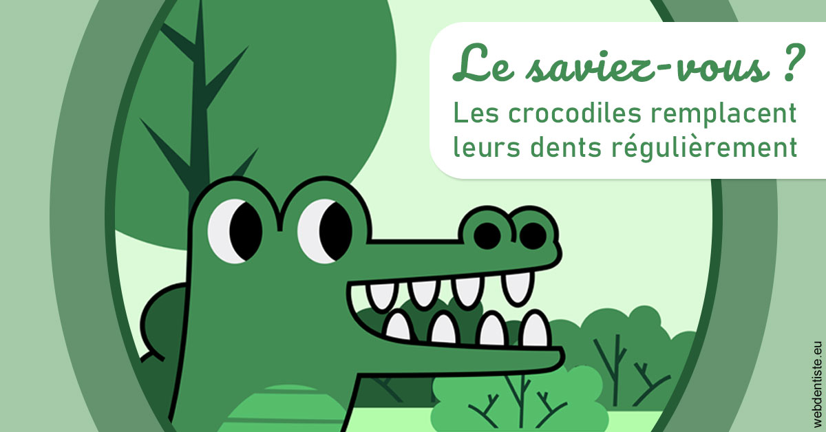 https://www.docteurs-el-khoury-hanna.fr/Crocodiles 2