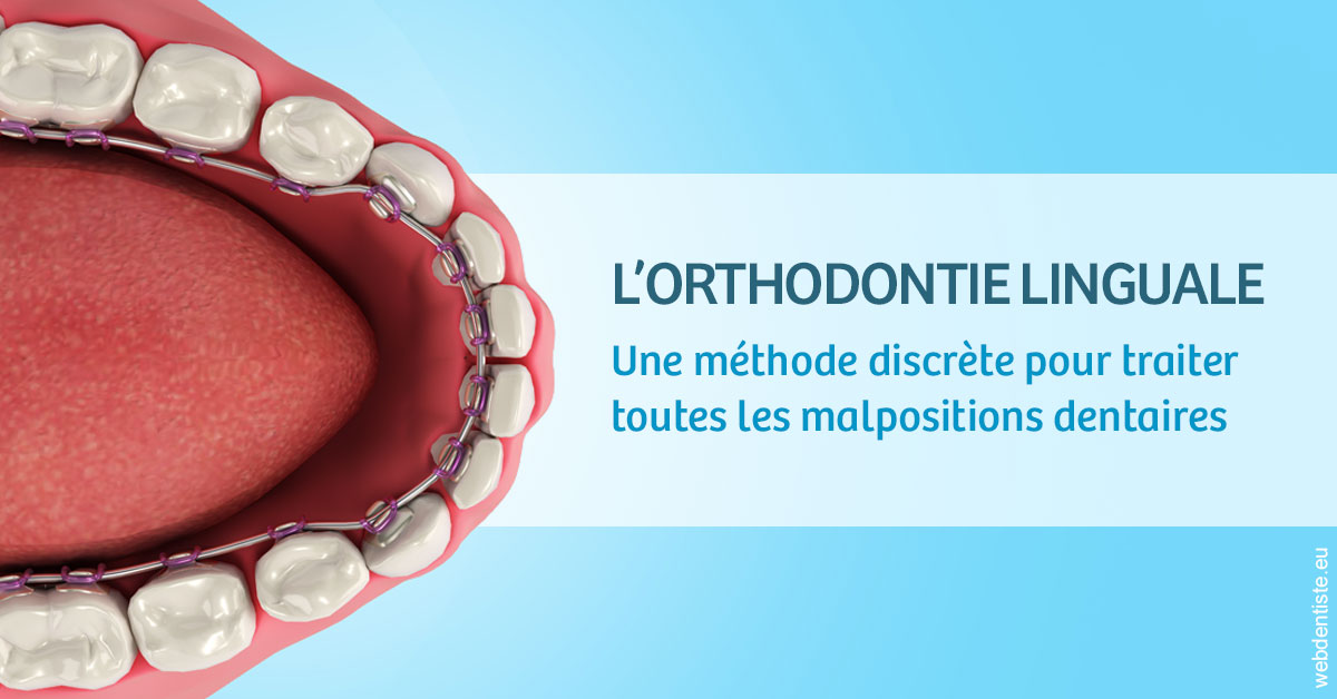 https://www.docteurs-el-khoury-hanna.fr/L'orthodontie linguale 1