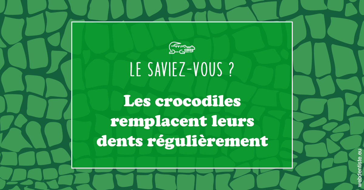 https://www.docteurs-el-khoury-hanna.fr/Crocodiles 1