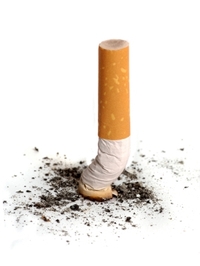 cigarette_ecrasee